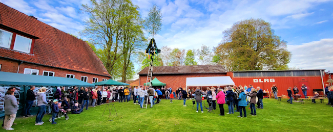 Maibaumsetzen in Bookhorn